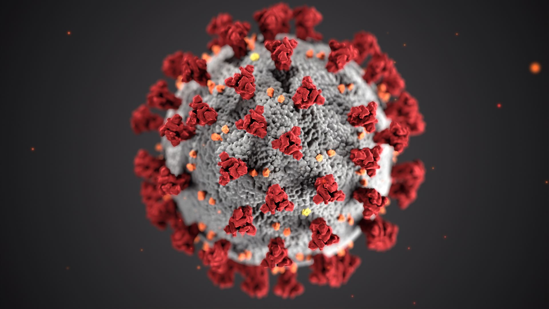 virus